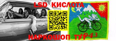 шишки Славгород