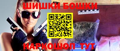 шишки Славгород