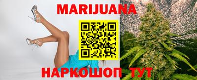 шишки Славгород