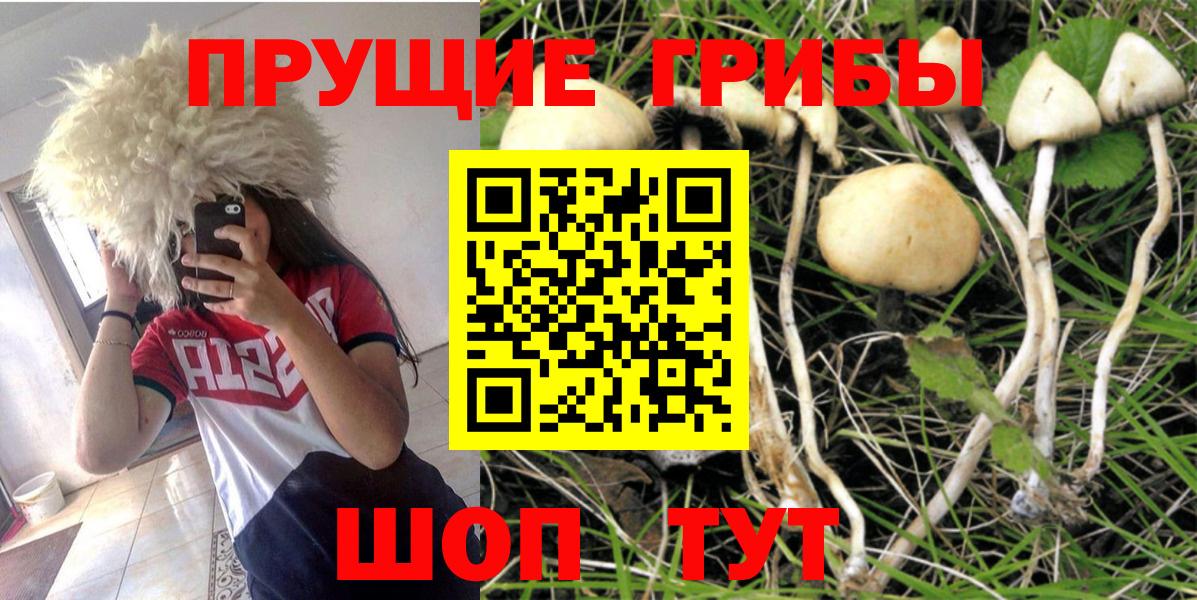 Псилоцибиновые грибы Psilocybine cubensis  Вход с VPN  Воскресенск 